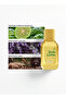 BOLD MOTION Men's Perfume Set of 2 - ROYAL LANE + SUB LIME, Eau De Parfum - 50ml (Each), Premium Gift Set For Men - 5