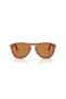 0Po0714Sm 96/73 54 Unisex Sunglasses - 3