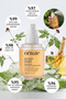 Kojic Acid, Ginseng-Infused Anti-Dark Spot, Anti-Dullness, Anti-Visibility, Tone-Equalizing and Revitalizing Tonic Facial Mist 170 ml - 3