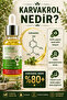 Thyme Oil 20ml Carvacrol 80% (Carvacrol) Essential Oil (Certified Product) - 2