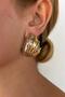 Zr Steel Striped Mixed Earrings - 2
