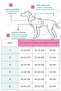 Dog Raincoat |   4-Legged Waterproof & Windproof Dog Outfit - Premium Dog Clothes - 6