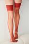 Nostalgia Garter - 4
