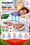 Anti Allergic Anti Mite Pillowcase 50X70 cm 100% Cotton Dust Mite Barrier 1 Piece Guaranteed for Life - 7