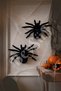Halloween 2-Pack Black Spider - 2