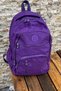 Unisex School Backpack Crinkle Waterproof Fabric Large Size Junior High School College cty-lbn-301 - 5