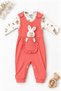 Baby Girl Set with Rabbit Figure and Overalls, 2-Piece Seasonal Baby Set - 5