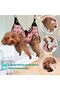 8 Pcs Cat Grooming Hammock Kit with Safety Belt, Hammock,Nail Covers Caps ,for Nail Clipping(M) - 2