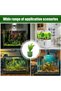 10Pcs Aquatic Plants Fixed Ring Set, Aquarium Landscape Decor - 4