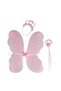 Butterfly Wing Set - 3