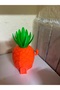 Sünger bob ananas evi - 2