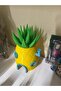 Sünger bob ananas evi - 2