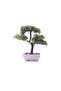BONZAİ YAPAY ÇİÇEK - 3