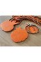 Pumpkin Coaster - 2