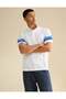 AE Standard Fit Applique Pique Polo Shirt