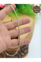 Italian Rope Model Rose and Silver Color Double Row Silver Choker Choker 201025911 - 2
