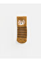 Esvab • Modern & Distinctive Animal Embroidered Baby Boy Socks 3-Piece Set - 3