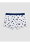 Boy's Boxer 3-Pack (W6) - 3