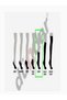 Winter Pack of 12 Men's Cotton Diabetic Sole Towel Socks - 2