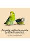 Exact Hand Feeding for Baby Birds, 5 lb bag - 4