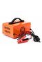 ÎNCĂRCĂTOR INTELIGENT DE BATERII A100 12V/24V 20A - 6