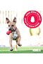 Jaxx Infinity Tug Dog Toy LARGE - 6