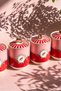 Birdy Porcelain 4-Piece Spice Set - 5