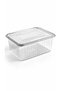 10 Pieces 2000 Cc Leak-Proof Flat Lid Transparent Pet Food Container Salad Appetizer Takeaway Container - 2