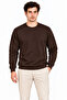 Men's crew neck fleece-lined 2-thread plain long sleeve regular fit sweatshirt - brown