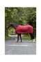 Stripe Horse Fly Cover and Insect Protection Cover