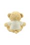 CUSTOMIZED TEDDY BEAR WITH PRINTABLE WHITE T-SHIRT – GIFT OR PROMOTIONAL SET - 4