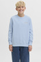 Jack&Jones Junior Boy's Sweatshirt 12269298