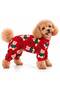 Small Breed Green Bear Dog Jumpsuit Dog Outfit (1-10kg) - 3