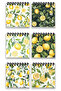 Fresh Lemon and Lemon Flower Patterned Mini Notepad Set - 2