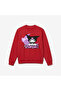 Kuromi Custom Printed Premium Crew Neck Long Sleeve Sweatshirt