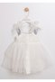 Girl's Special Occasion Dress with Angel Wings and Pearls - 3