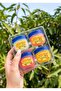 Lip Moisturizer Fruity Lip Protector 4 Fruit Scents 4-Pack Orange Peach Coconut Watermelon - 3