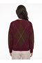 Burgundy Brown Stretchy Knitwear Textured Crew Neck Eleven-Button Diamond Pattern Sweater - 2