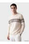 Crew Neck Patterned Men's Knitwear Sweater