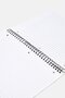 Sugar Cane Notebook, Assorted - 3