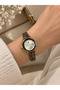 Wristwatch Brown Band Gold Case Elegant Stylish Quartz Watch
