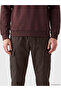 Vizyon New Season Brown Regular Fit Men's Cargo Pants - 3