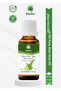 100% Pure and Natural Aloevera Oil (Aloevera Oil) 20 ml - 2