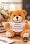 1 Piece Plush Teddy Bear - Plush Gift Bear with Printed T-Shirt for Teachers' Day, Mixed Color, 25 Cm, Teacher Gift