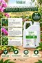 Neem Oil 5 Liters (Neem Tree Oil 5Lt) 100% Pure Without Additives Cold Pressed, Plant, Skin and Hair Care - 3