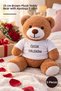 5 Teddy Bears - Brown Plush Bear with T-Shirt and Apology Printed on It, 25 cm Teddy Bear Plush