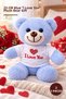 3 Plush Teddy Bears - 25 cm with T-Shirt and I Love You Written, Blue Heart, Gift for Lovers Teddy Plush Bear