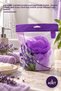 3 Soap-Infused Bath Loofahs – Lavender Scented Purple Packaged Mesh Loofah, Shower Loofah and Body Cleansing Loofah (Soap-Infused Bath Loofah)