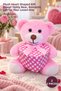 2 Boxed Pink Teddy Bears – Plush Heart Boxed Gift Bear, Special Boxed Teddy Bear for Lovers, Romantic Gift