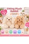 Sitting plush rabbit 25 cm - 5